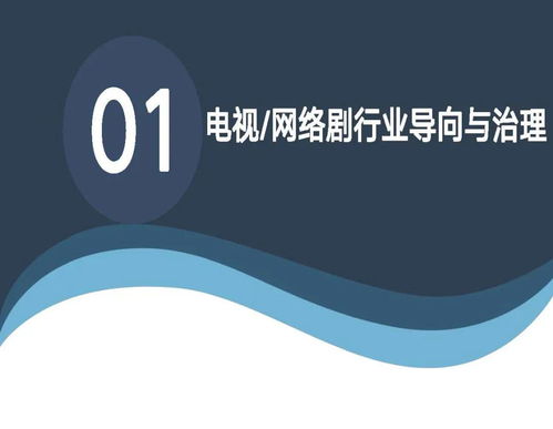 中国电视 网络剧产业报告2020